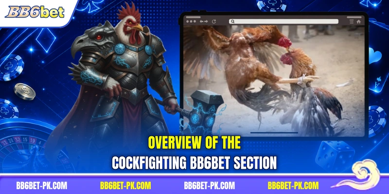 Overview of the cockfighting BB6bet section